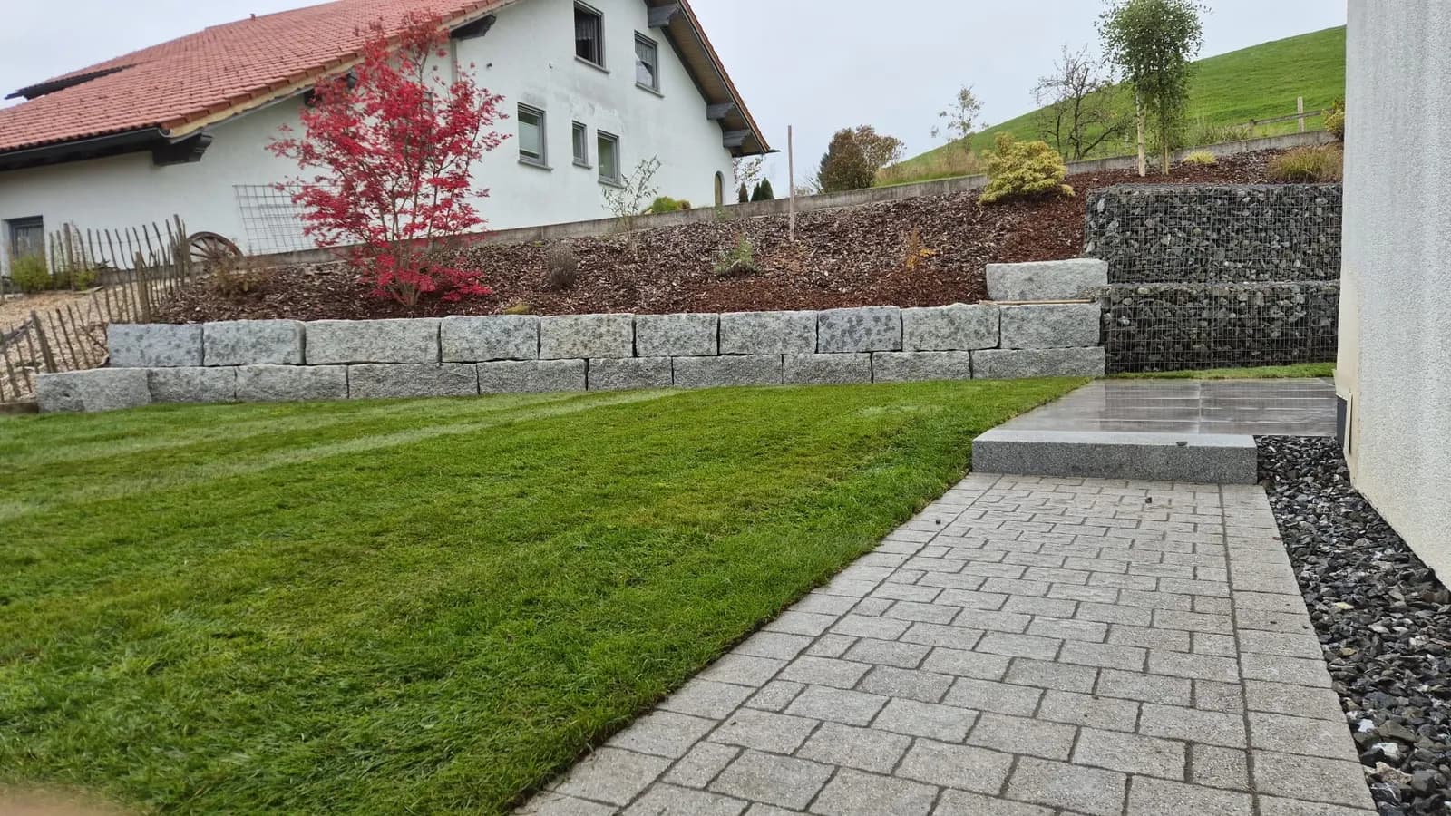 Stützmauer mit Ahorn